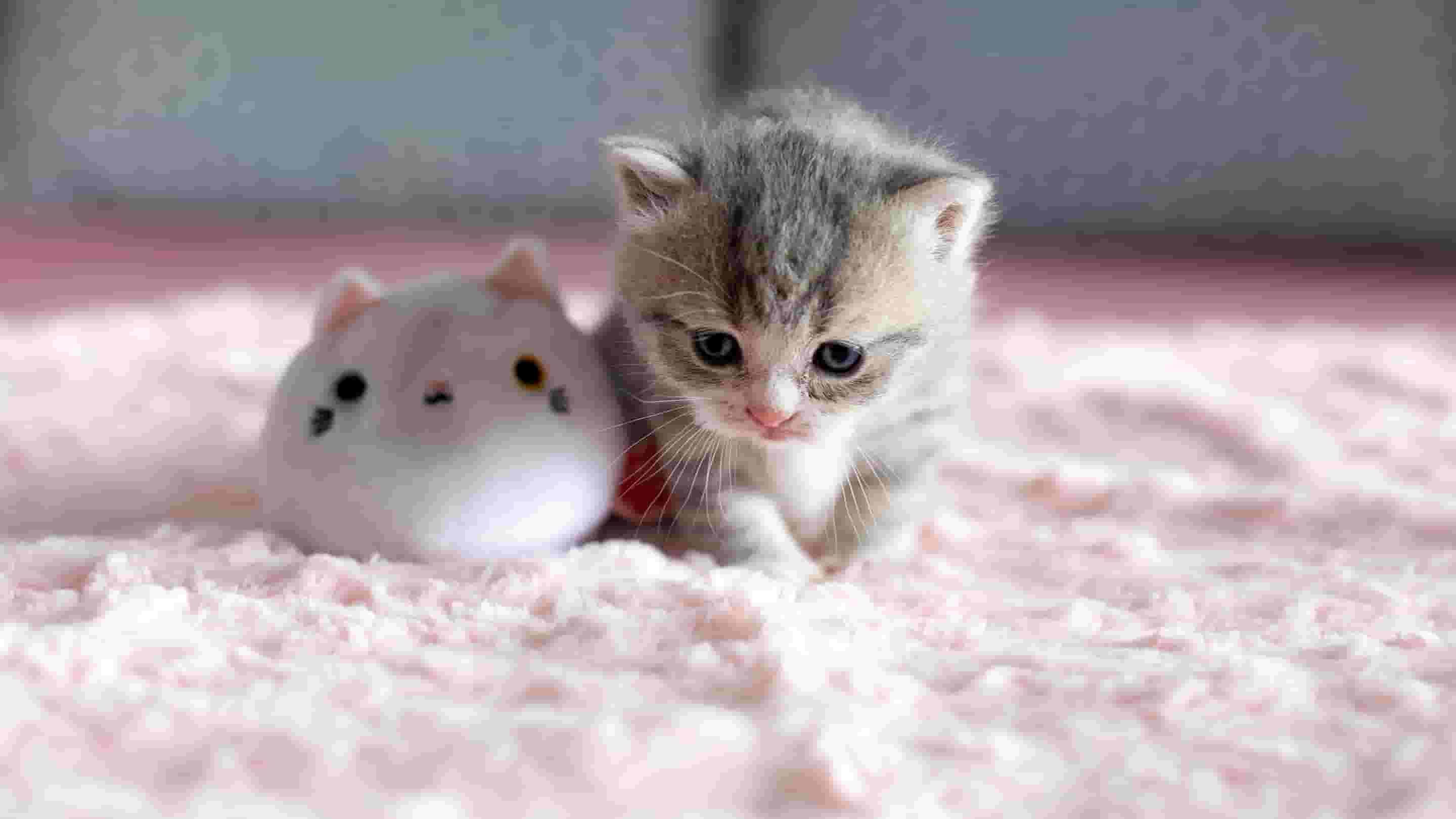 docker-偌依 项目部署